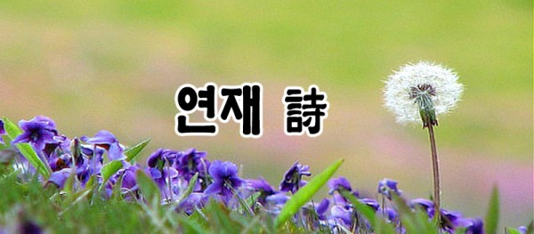 e5bee845fa2b8be47e0ba56890d0f1ce_1597103589_17.jpg
